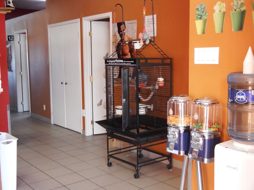 Bronzage Pro-Dragon Inc | 110 Rue Barkoff, Trois-Rivières, QC G8T 0B2, Canada | Phone: (819) 693-8788