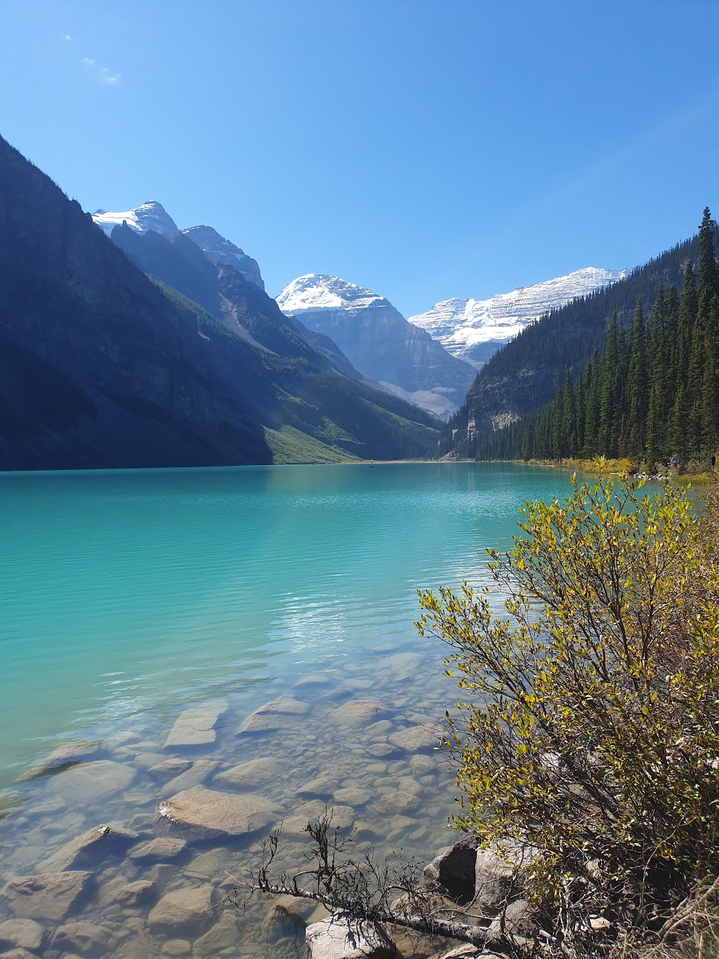Louiza | 111 Lake Louise Dr, Lake Louise, AB T0L 1E0, Canada | Phone: (403) 522-1817
