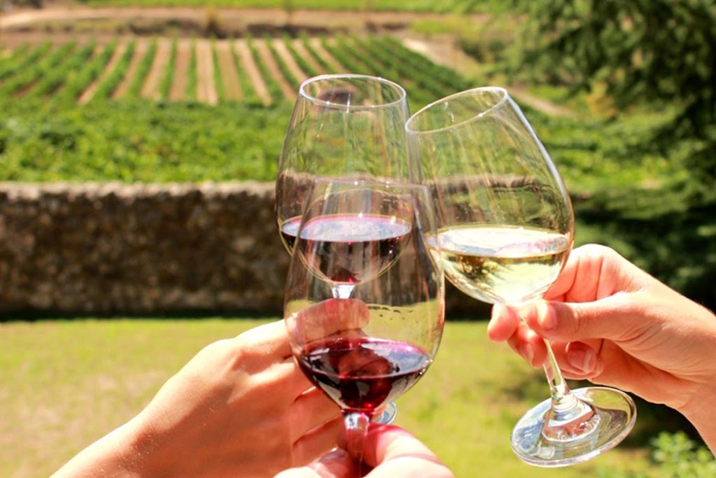Prince Edward County Custom Wine Tours | 3 Sunshine Ln, Trenton, ON K6V 6X3, Canada | Phone: (343) 333-0740