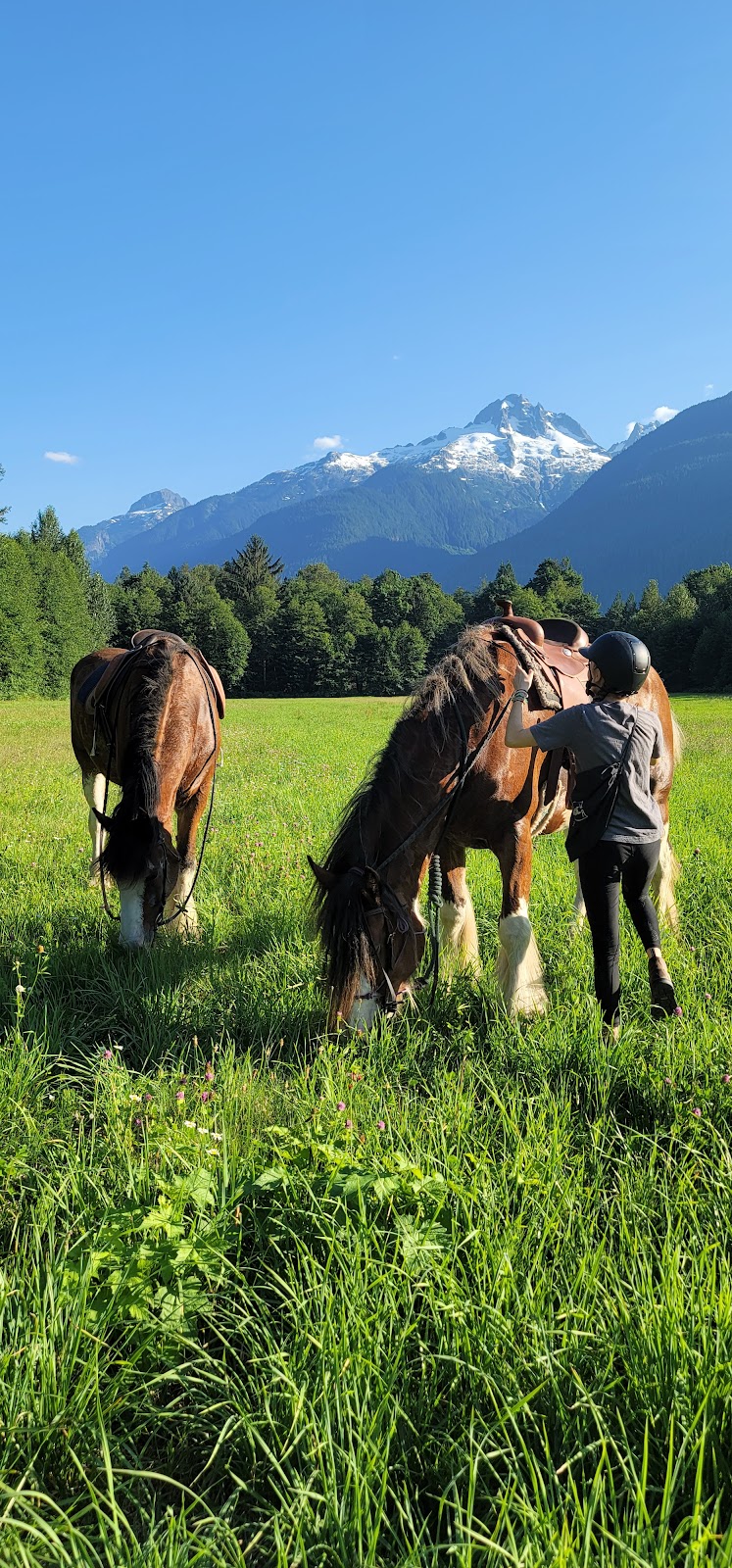 Glacier Valley Farm | 12825 Squamish Valley Rd, Brackendale, BC V0N 1H0, Canada | Phone: (604) 902-5951