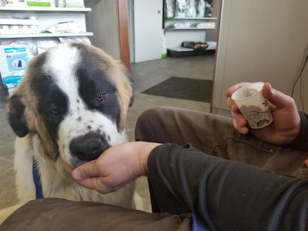 Foothills Veterinary Clinic | 376 1 Ave W, Cardston, AB T0K 0K0, Canada | Phone: (403) 653-4424