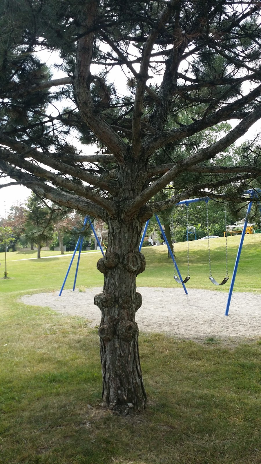 Riverlea Park | 919 Scarlett Rd, Etobicoke, ON M9P 2V3, Canada | Phone: (416) 338-4386