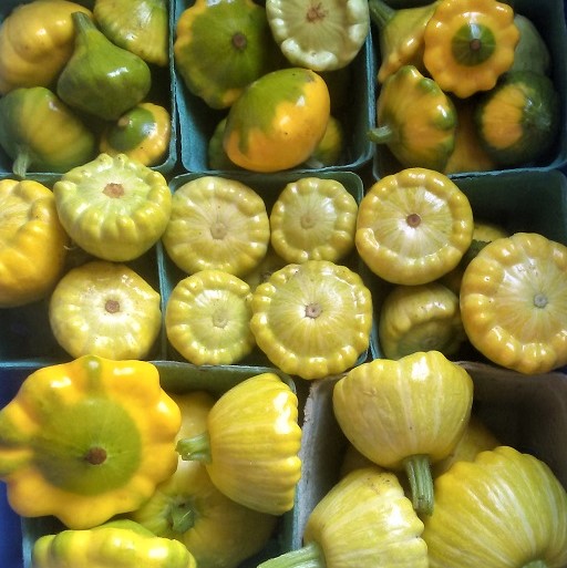 Olde Furrow Farm | 569 Belcher St, Port Williams, NS B0P 1T0, Canada | Phone: (902) 690-7621
