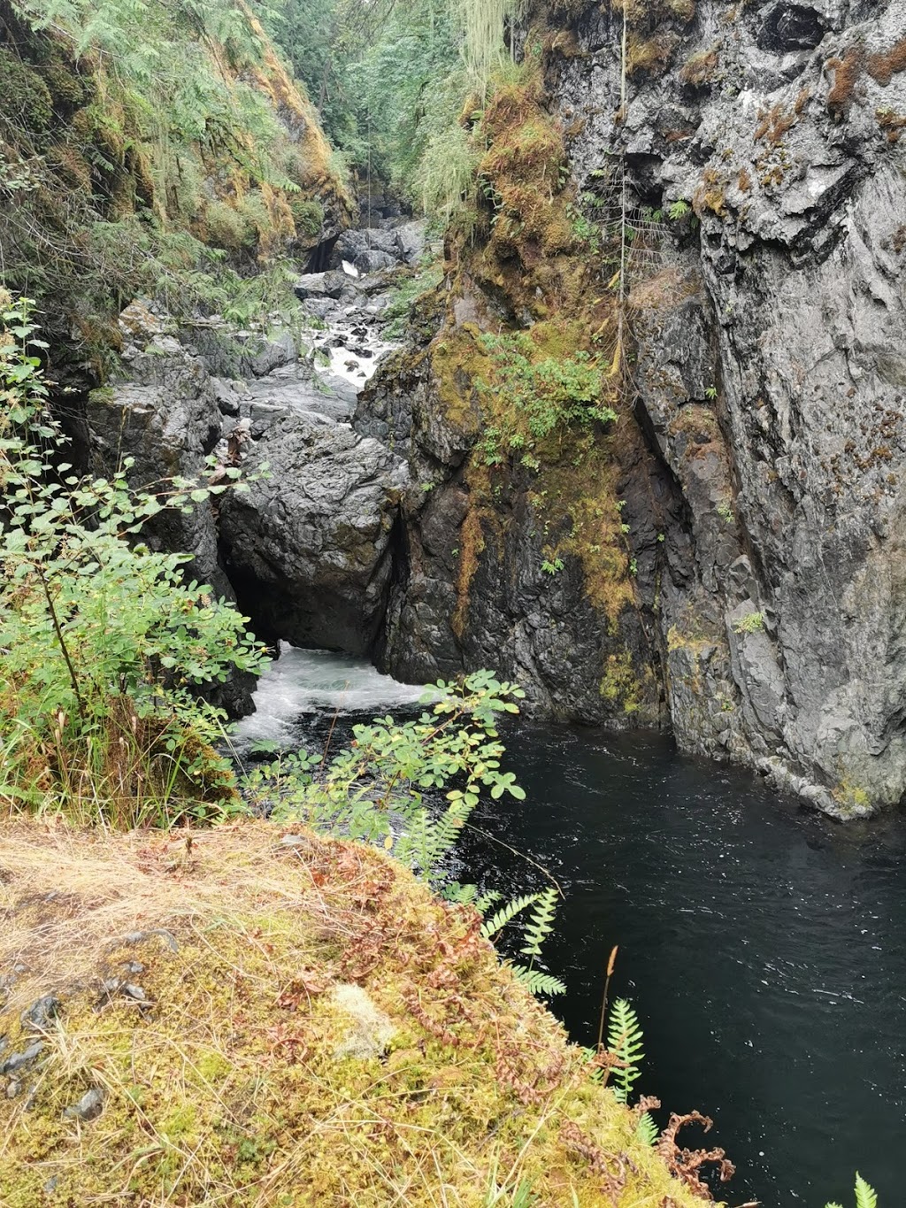 Englishman River Falls (Lower Falls) | Nanaimo F, BC V0R 1V0, Canada | Phone: (250) 474-1336