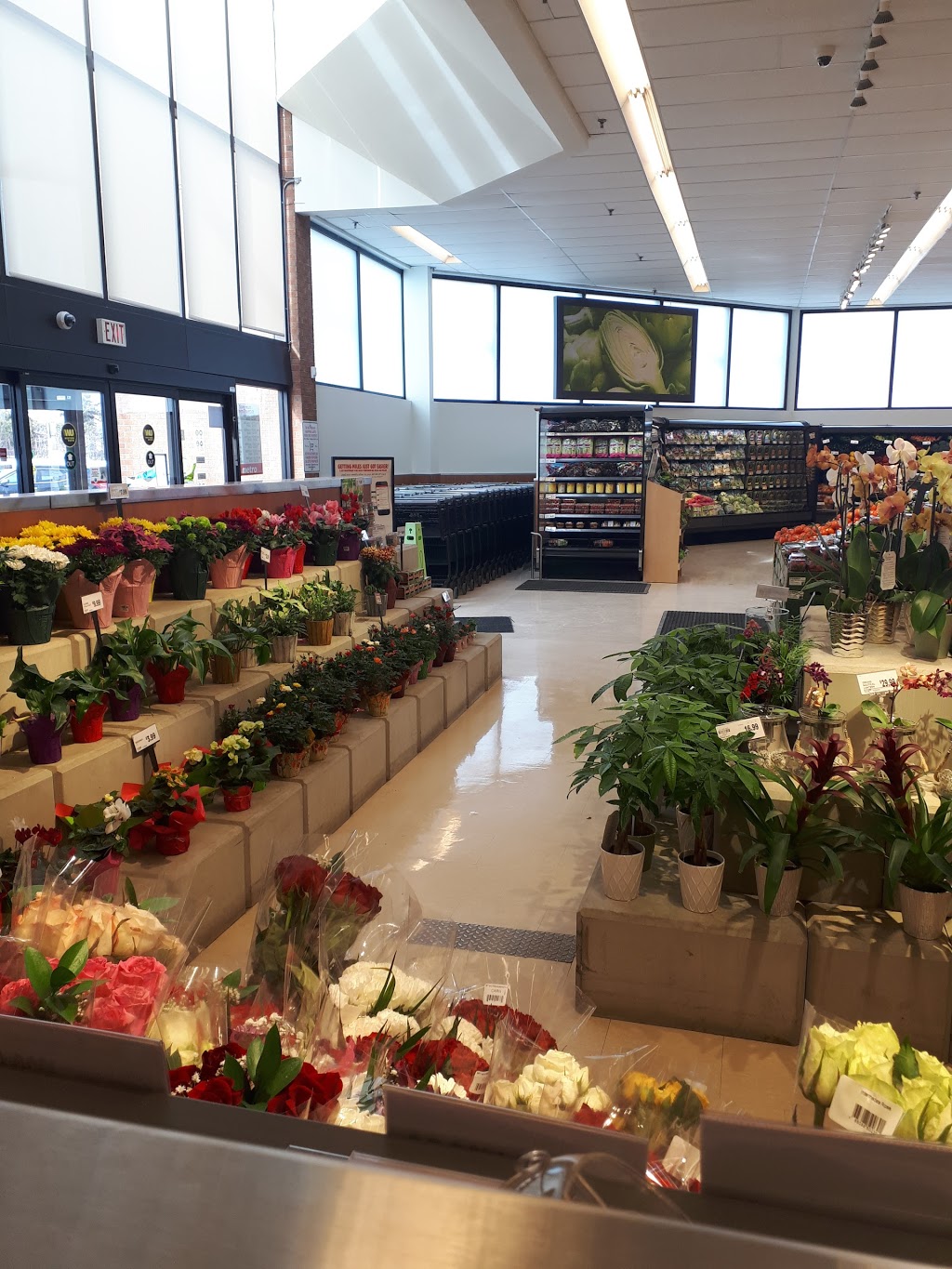 Fallingbrook Shopping Centre | 1675 Tenth Line Rd, Orléans, ON K1E 3P6, Canada | Phone: (613) 858-0639