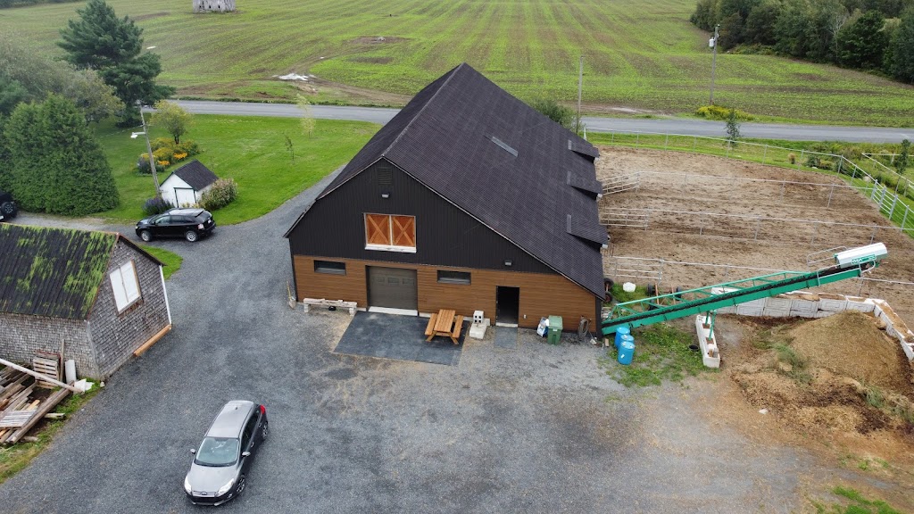 Les Écuries RJ | 1016 Rang 8 E, LAvenir, QC J0C 1B0, Canada | Phone: (819) 475-8197