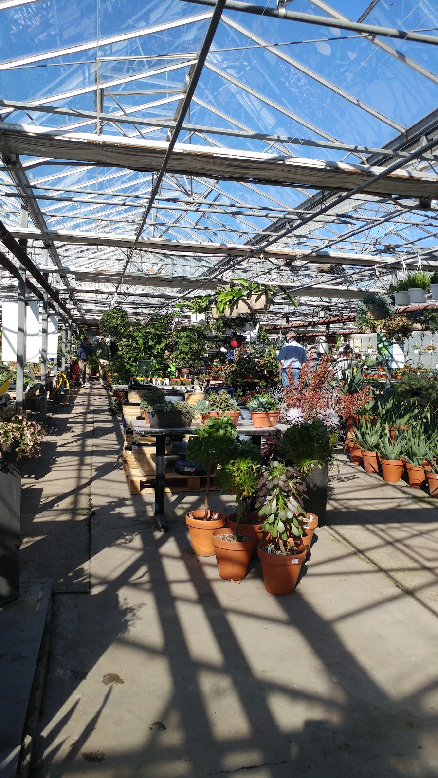 Cactus Fleuri Inc (Le) | 1850 Rang N Ouest, Sainte-Madeleine, QC J0H 1S0, Canada | Phone: (450) 795-3383