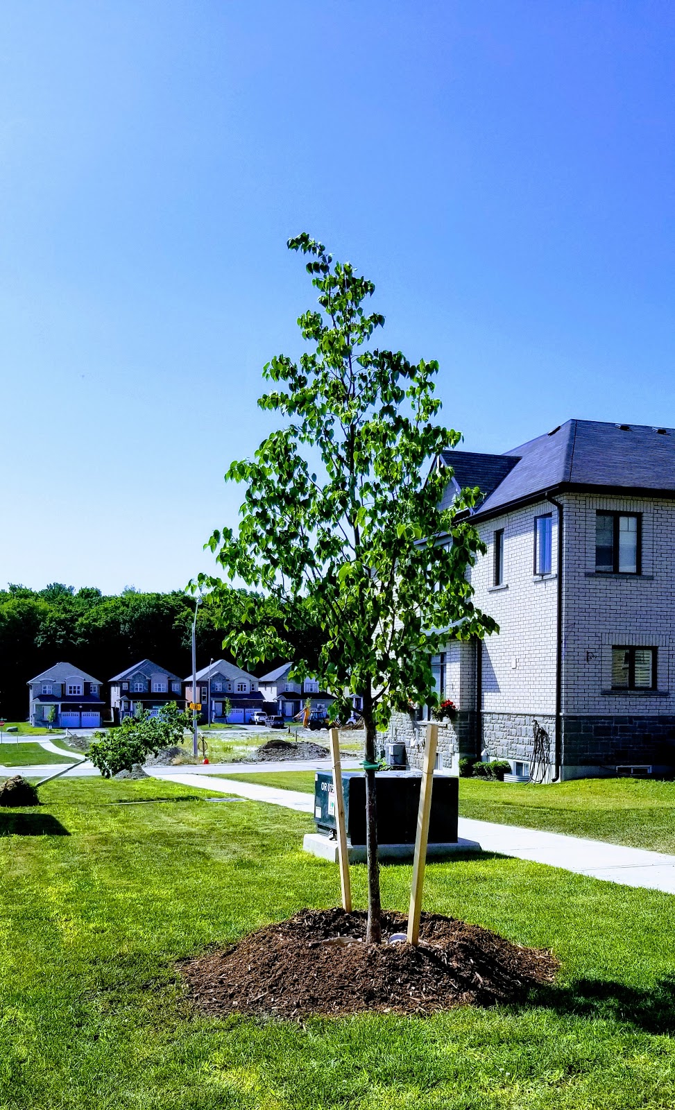Spring Tree Farm Corporation | 2475 Innisfil Beach Rd, Innisfil, ON L9S 4C1, Canada | Phone: (705) 436-5623