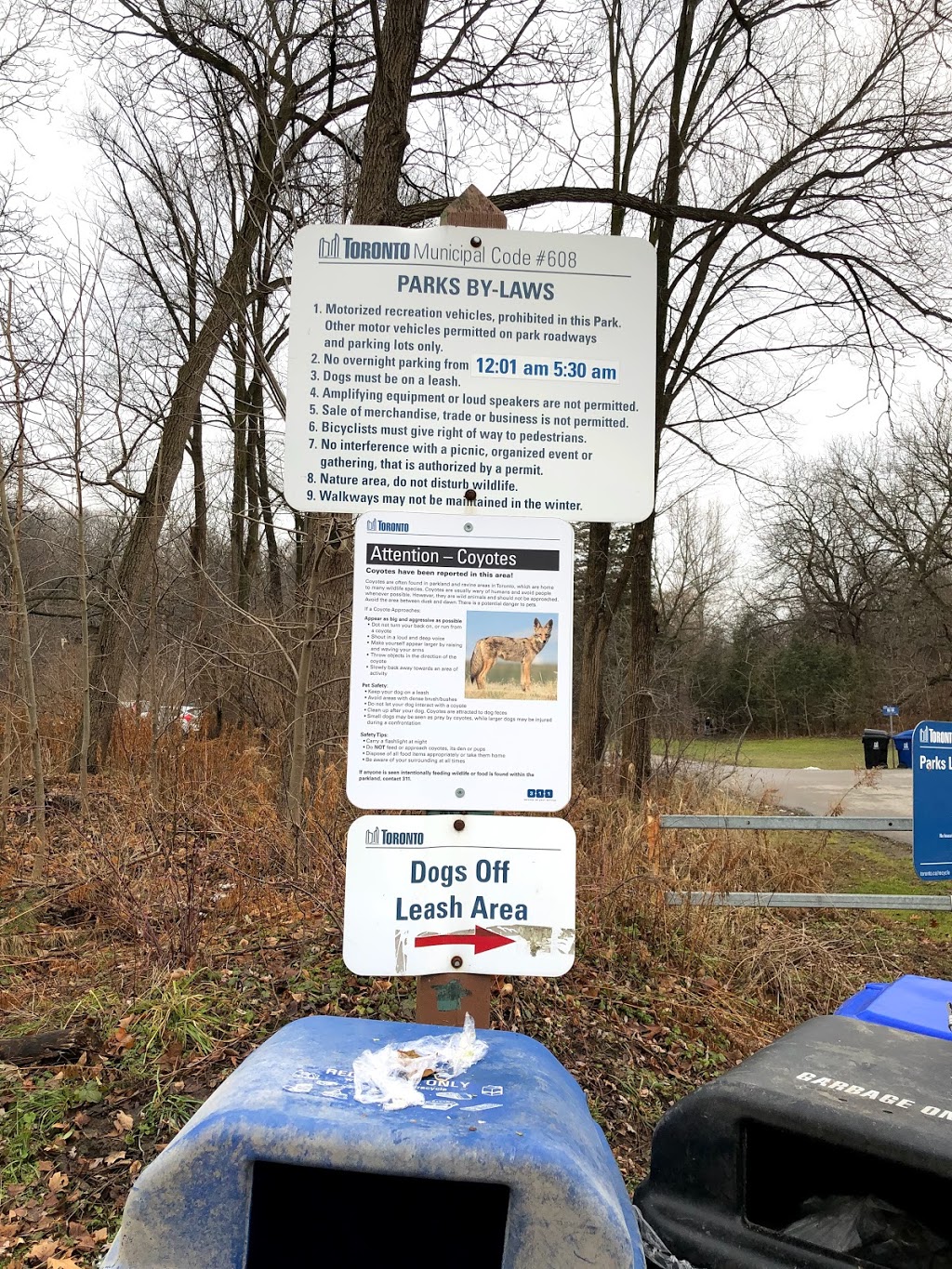 Earl Bales Dogs Park | Lansing, Toronto, ON M3H 3P7, Canada