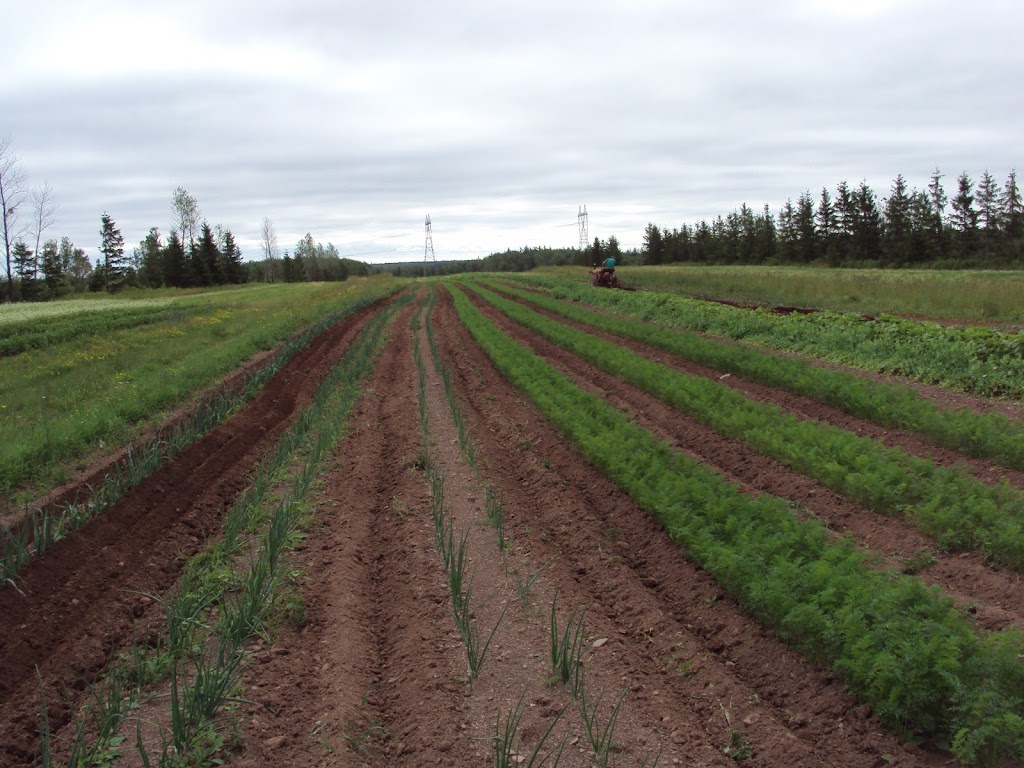 Ferme des Ruisseaux | 636 Av. des Ruisseaux, Pintendre, QC G6C 1N1, Canada | Phone: (418) 835-1134
