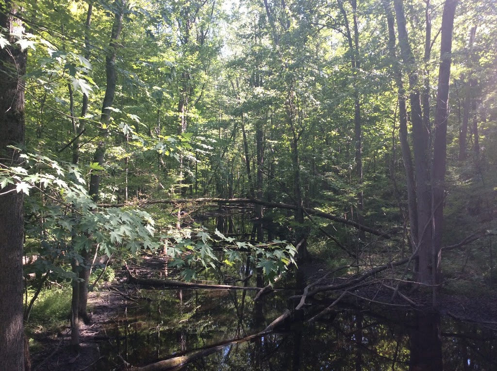 Alice Moore Woods Nature Sanctuary | 999 Stratford Rd, St Clair, MI 48079, USA | Phone: (517) 655-5655