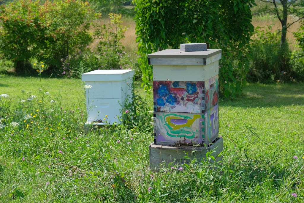 B-Ys Honey Farm | 996 Concession 6 Rd, Niagara-on-the-Lake, ON L0S 1J0, Canada | Phone: (905) 984-4408