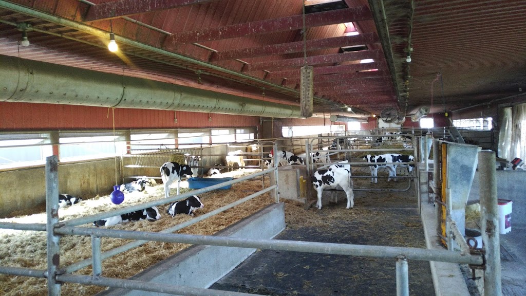 Terra Nova Farms Ltd | 676212 16 Line, Bright, ON N0J 1B0, Canada | Phone: (519) 532-6077