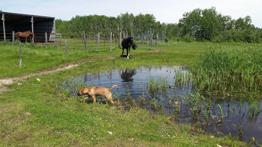 The Barefoot Ranch | 9108 E Rd 98N, Teulon, MB R0C 3B0, Canada | Phone: (204) 801-6833