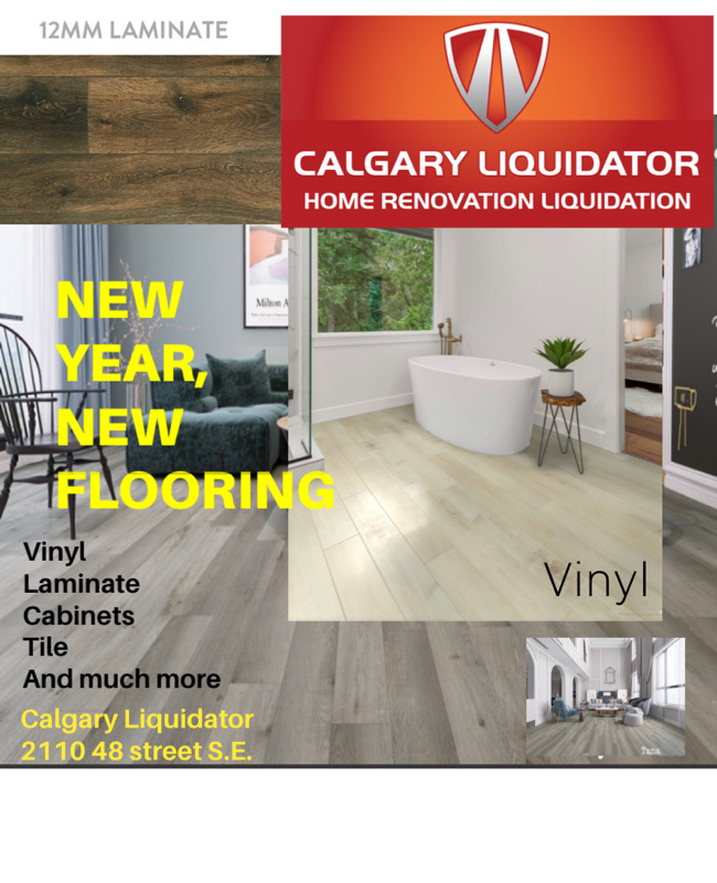 Calgary Liquidator | 2110 48 St SE, Calgary, AB T2B 1M8, Canada | Phone: (403) 710-3864