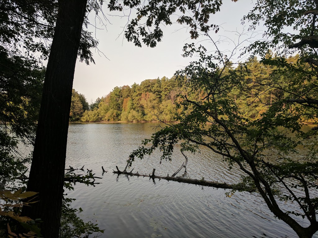 Ozark Park | 24 Antique Dr, Richmond Hill, ON L4E 3X5, Canada | Phone: (905) 771-8800