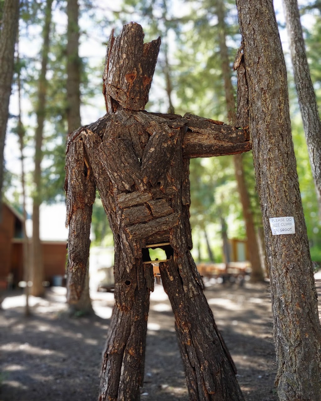 Sunnybrae Bible Camp | 3915 Sunnybrae-Canoe Point Rd, Tappen, BC V0E 2X1, Canada | Phone: (250) 835-4596