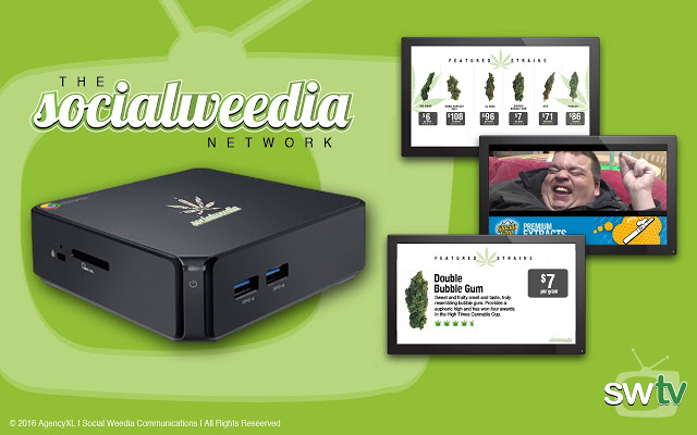 AgencyXL | 728 E Georgia St, Vancouver, BC V6A 3E3, Canada | Phone: (647) 800-4736