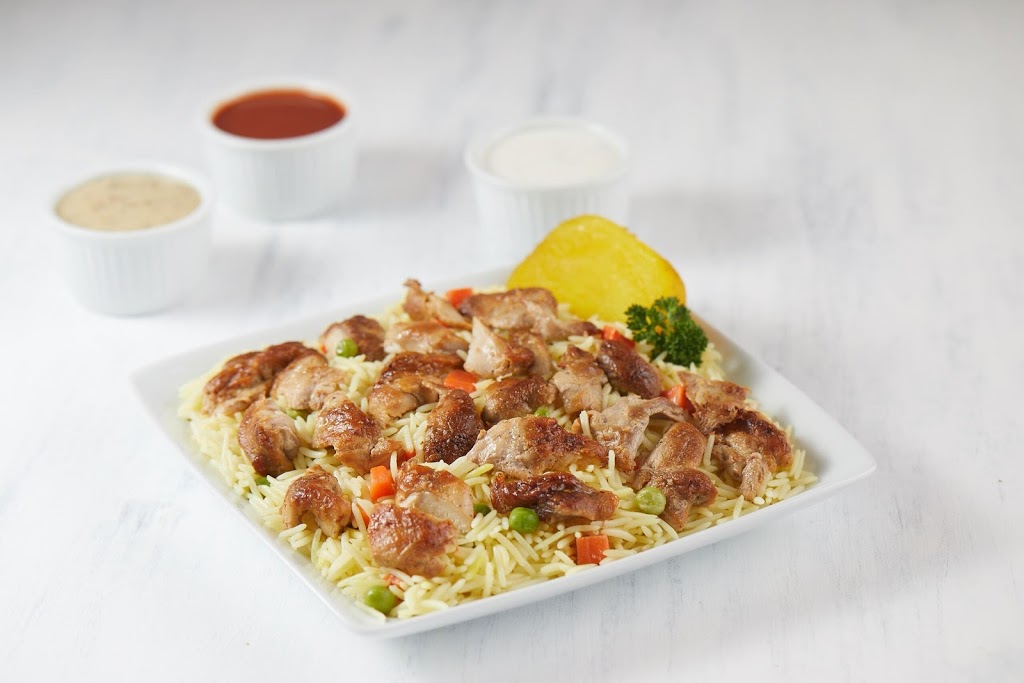 Pita Lite | 3001 Hospital Gate Unit 4 Food court, Oakville, ON L6M 0L8, Canada | Phone: (905) 827-3977