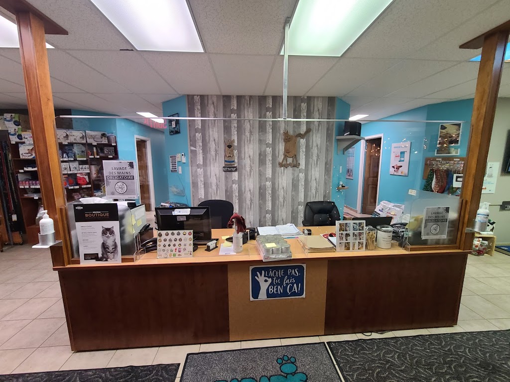 Clinique vétérinaire Dr Karina Paradis | 772 Bd Barrette, Chicoutimi, QC G7J 3Z5, Canada | Phone: (418) 690-0064