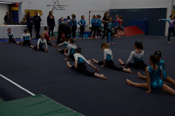 St Albert Gymnastics Club | 2A Riel Dr, St. Albert, AB T8N 3Z7, Canada | Phone: (780) 459-4256
