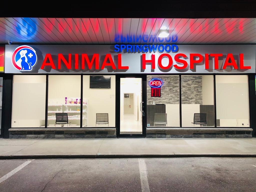 Springwood Animal Hospital (& HouseCall Services) | Springwood Animal Hospital, 1645 Dundas St E, Whitby, ON L1N 2K9, Canada | Phone: (905) 240-8100