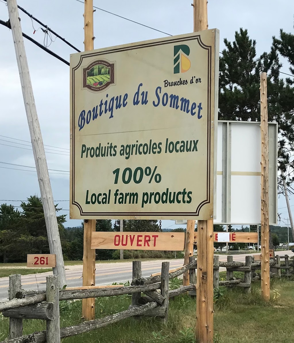 Boutique du Sommet | 261 Route 105, Messines, QC J0X 2J0, Canada | Phone: (873) 566-8444