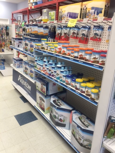Kats Pets | 420 Leacock Dr, Barrie, ON L4N 5G5, Canada | Phone: (705) 503-2209