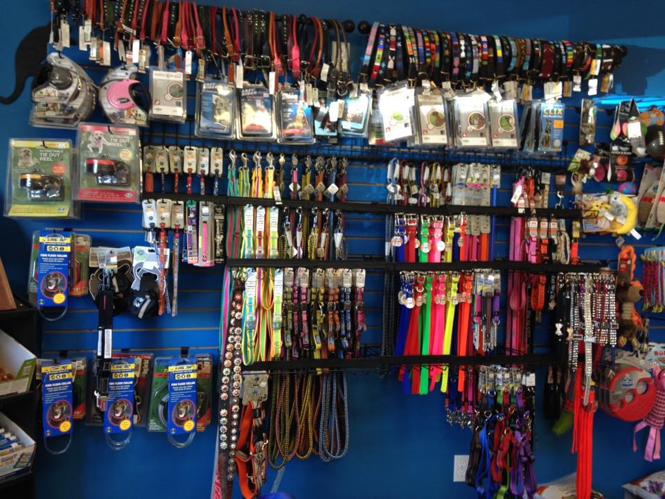 Critter Comforts Napanee | 113 Richmond Blvd, Napanee, ON K7R 3Z8, Canada | Phone: (613) 354-1758
