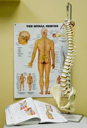 Pro-Physio Clinic | 88 Duncan Ave W, Penticton, BC V2A 7J7, Canada | Phone: (250) 490-8999