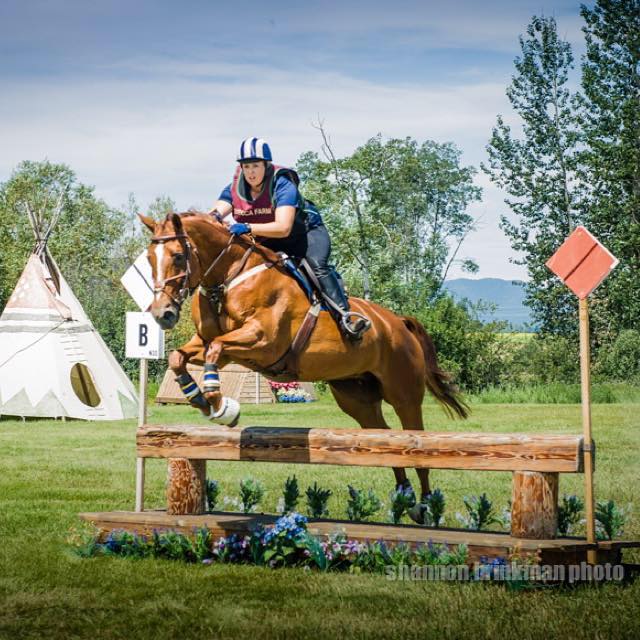 ABEquestrian | 3950 88 St, Delta, BC V4K 3N3, Canada | Phone: (778) 892-0616