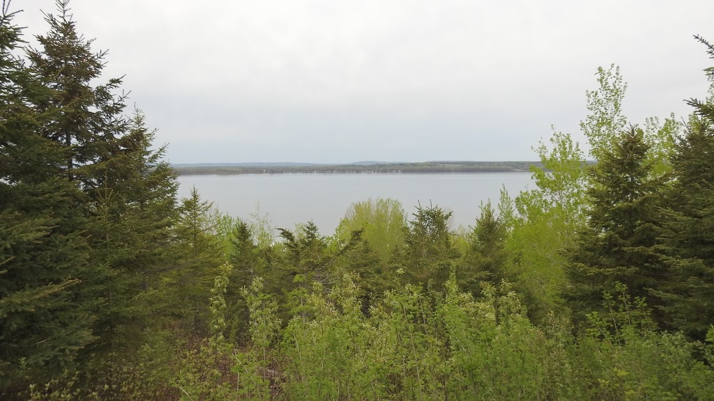 Halte Fenetre sur le Fleuve | 2005 QC-132, Deschaillons-sur-Saint-Laurent, QC G0S 1G0, Canada