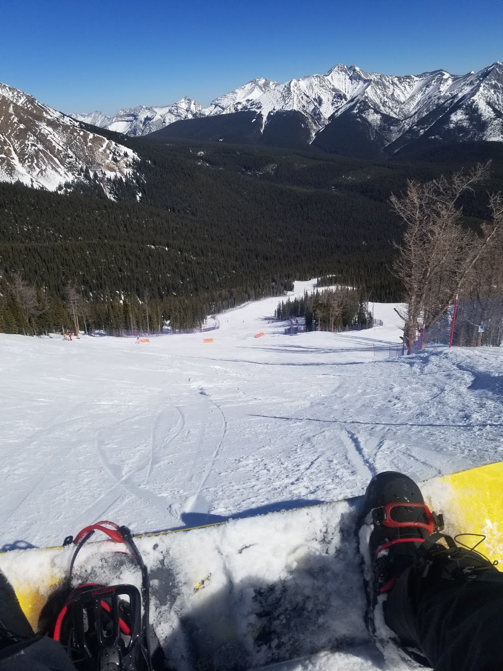 Sports Rent | 4424 16 Ave NW, Calgary, AB T3B 0M4, Canada | Phone: (403) 292-0077