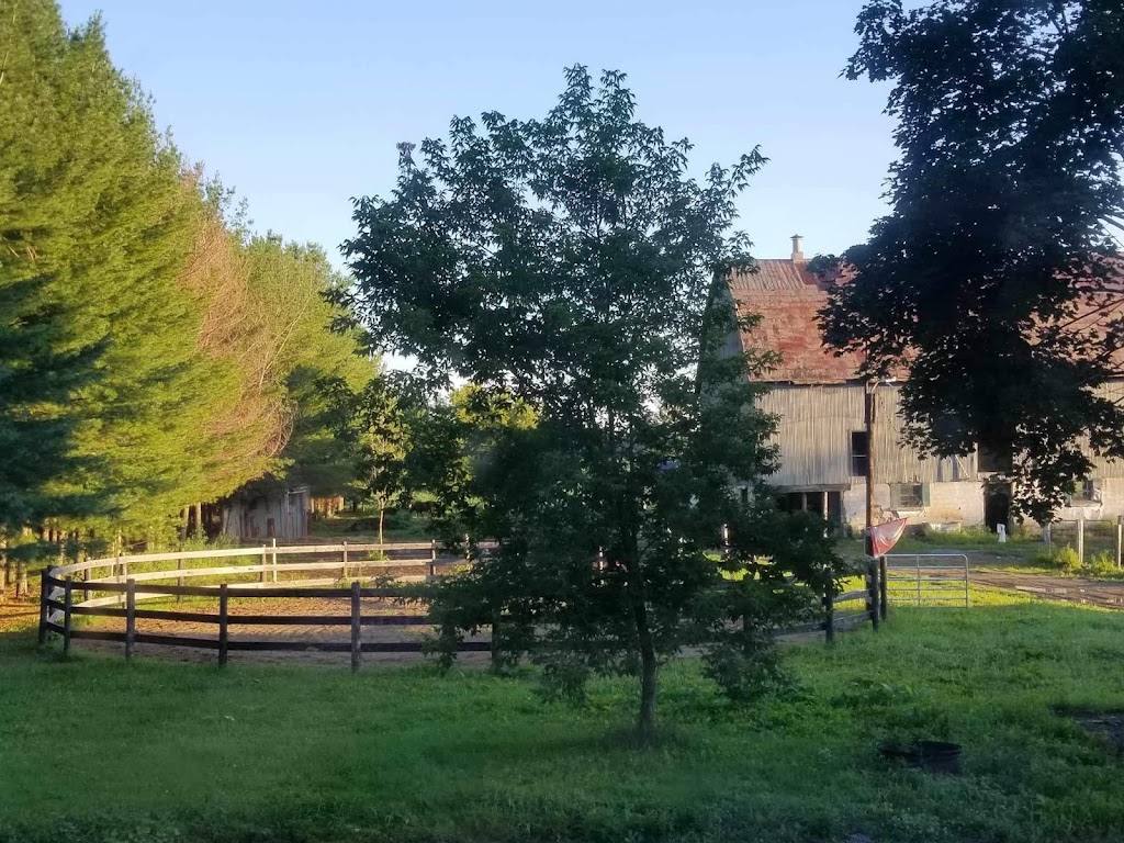 Mapleview Stables | 310 Wickens Rd, Frankford, ON K0K 2C0, Canada | Phone: (226) 239-2863