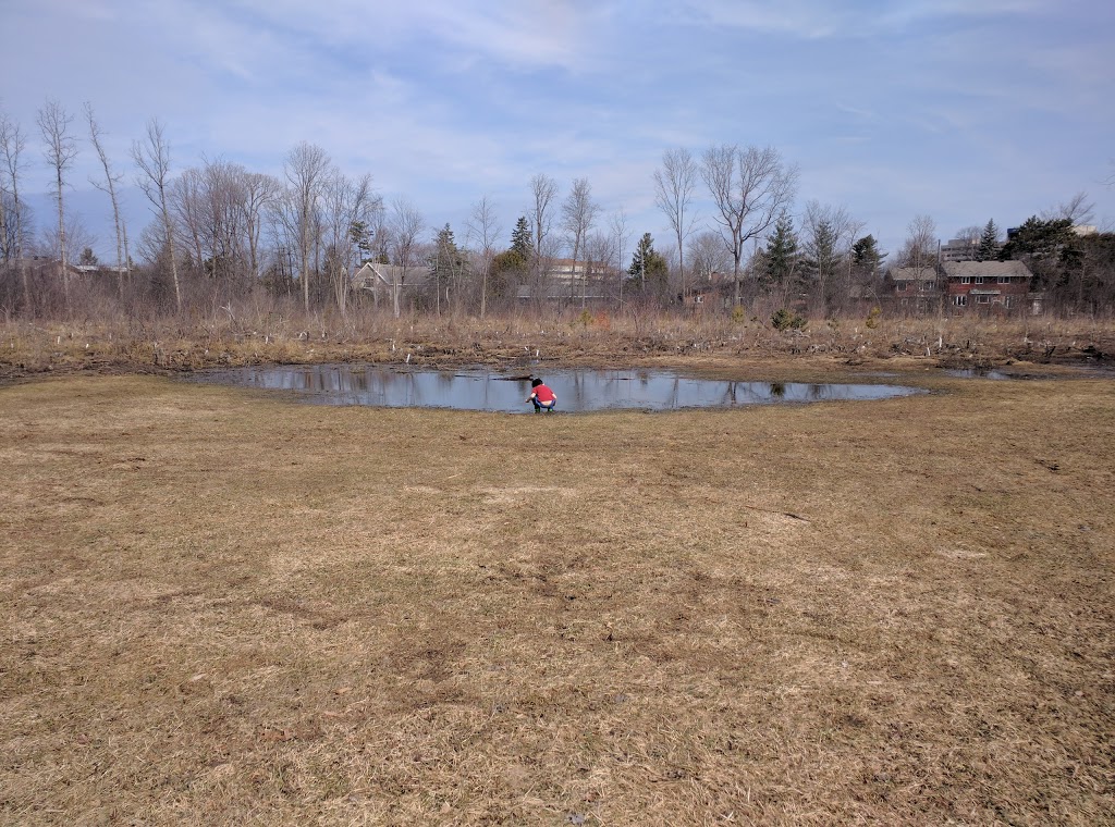 Faircrest Heights Park | 550 Smyth Rd, Ottawa, ON K1H 8M2, Canada
