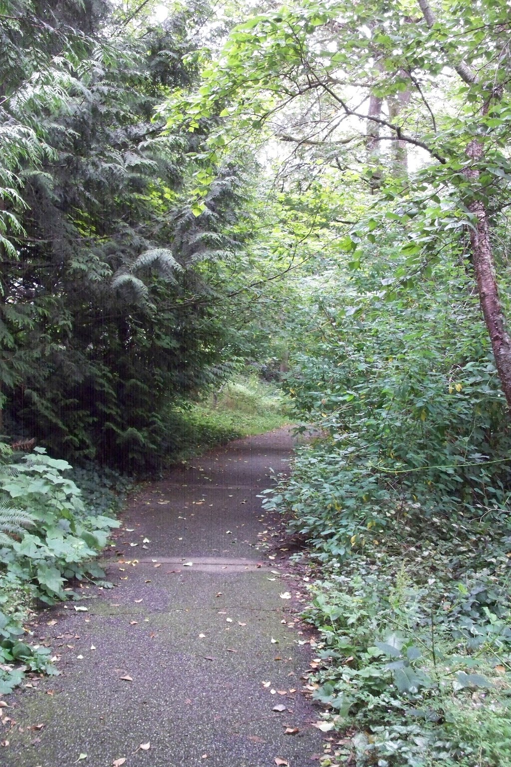 Champlain Heights Trails | Douglas Fir Trail, Vancouver, BC V5S 3Y5, Canada | Phone: (604) 873-7000