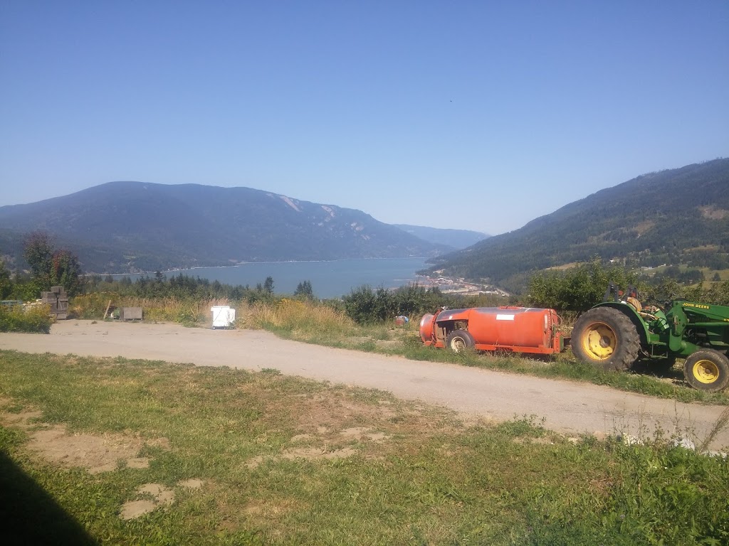 Peterson Orchard | 5480 35 St NE, Salmon Arm, BC V1E 2B3, Canada | Phone: (250) 515-1347