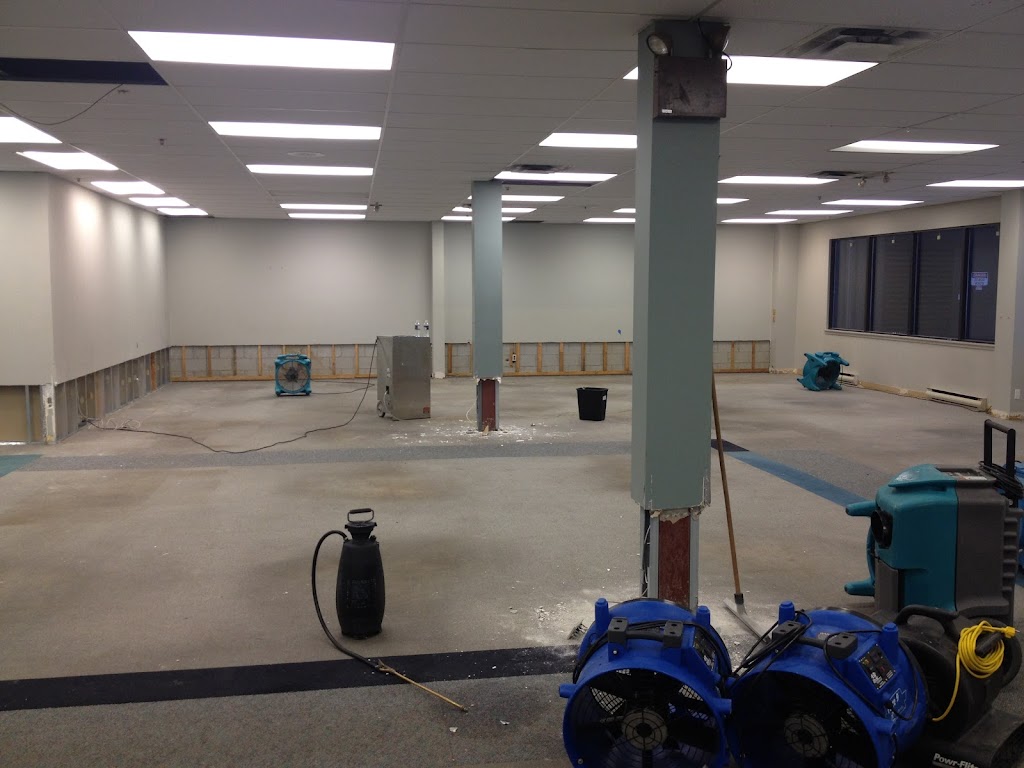 Restoration Mate Simcoe County | 20 Meadowlark Way, Collingwood, ON L9Y 1K0, Canada | Phone: (705) 986-0924
