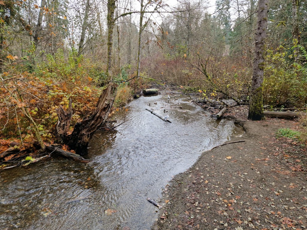 Puntledge Park | 401 Willemar Ave, Courtenay, BC V9N 3L3, Canada | Phone: (250) 334-4441