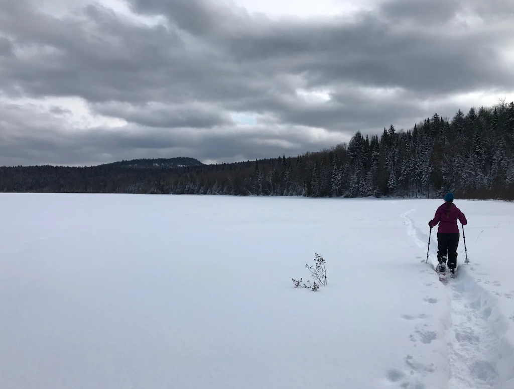 Seigneurie du Lac Meduse en Mauricie | 8 Chem. de la Colline, Saint-Roch-de-Mékinac, QC J0V 1P0, Canada | Phone: (514) 814-2723