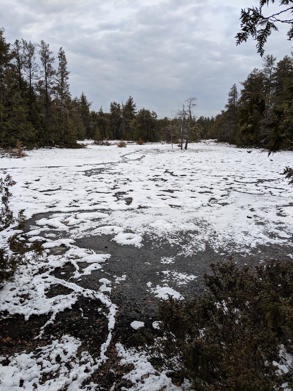 Bruce Alvar Nature Reserve | Hwy 6, Northern Bruce Peninsula, ON N0H 1Z0, Canada | Phone: (800) 440-2366