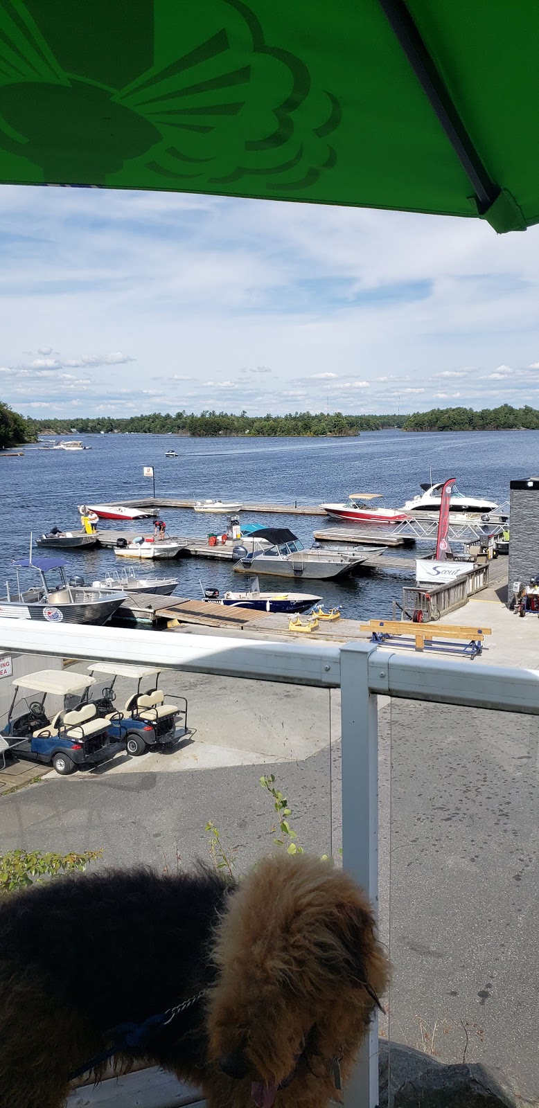 Payne Marine | 59 Paynes Rd, Pointe au Baril, ON P0G 1K0, Canada | Phone: (705) 366-2296
