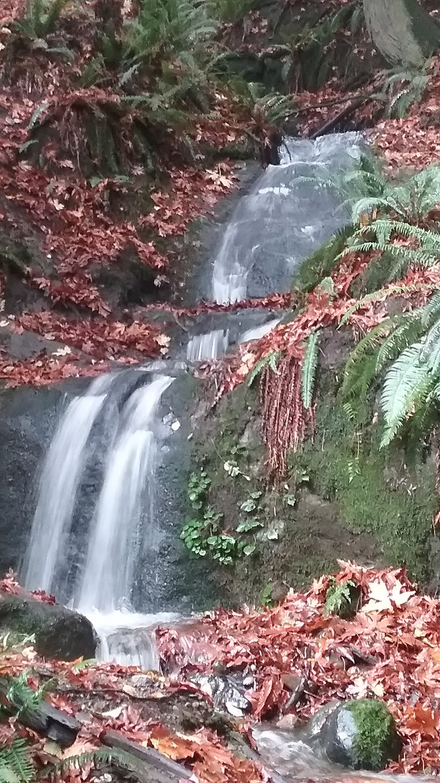 North Chuckanut Mountain Trailhead | 1467 Chuckanut Dr, Bellingham, WA 98229, USA | Phone: (360) 778-5850
