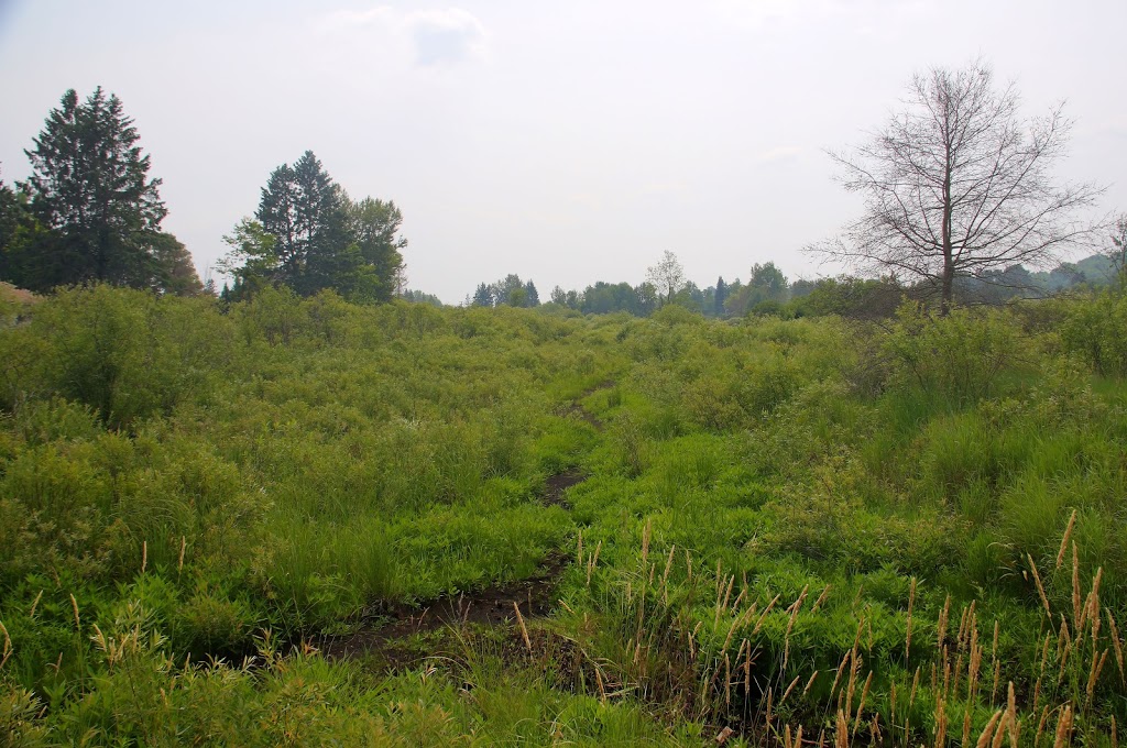Minden Boardwalk | Minden, ON K0M 2K0, Canada | Phone: (705) 286-1260