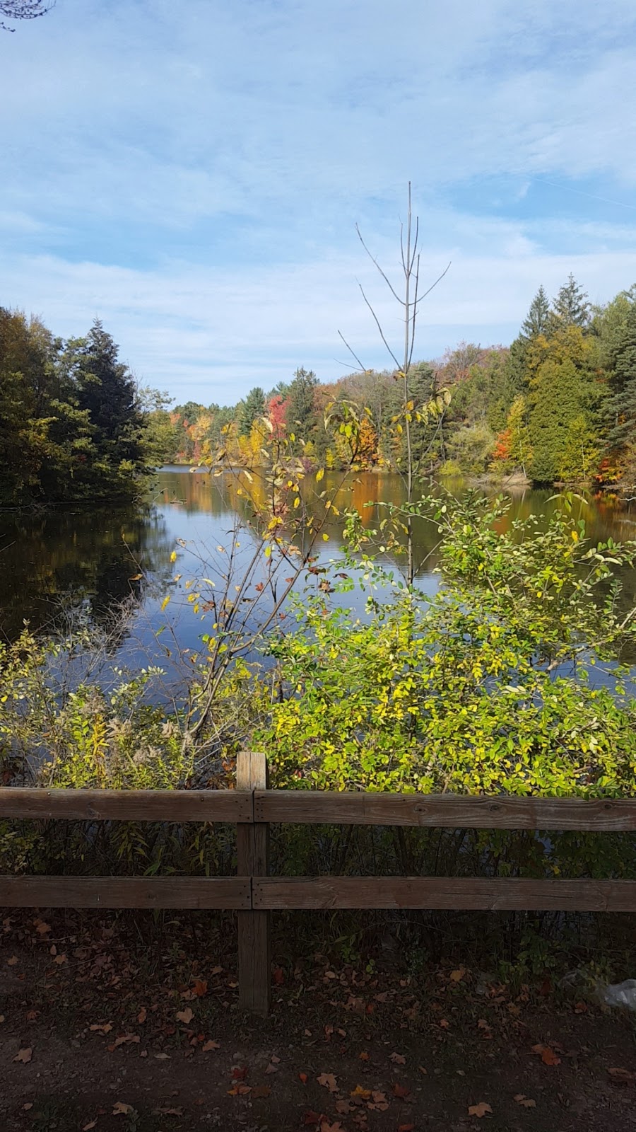 Chestnut Ridge Park Commissioners Cabin | Orchard Park, NY 14127, USA | Phone: (716) 858-8513