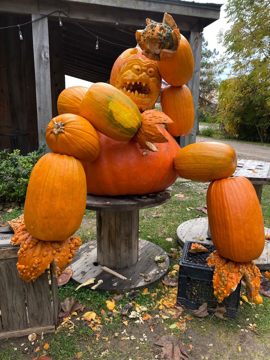 Twin Pines Orchards | 8169 Kennedy Line, Thedford, ON N0M 2N0, Canada | Phone: (519) 296-5558