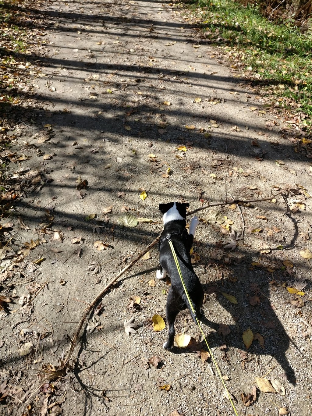 Graham Derek G Limited Professional Land Surveying & Land Use Planning | 7669 Colborne St, Elora, ON N0B 1S0, Canada | Phone: (519) 846-5533