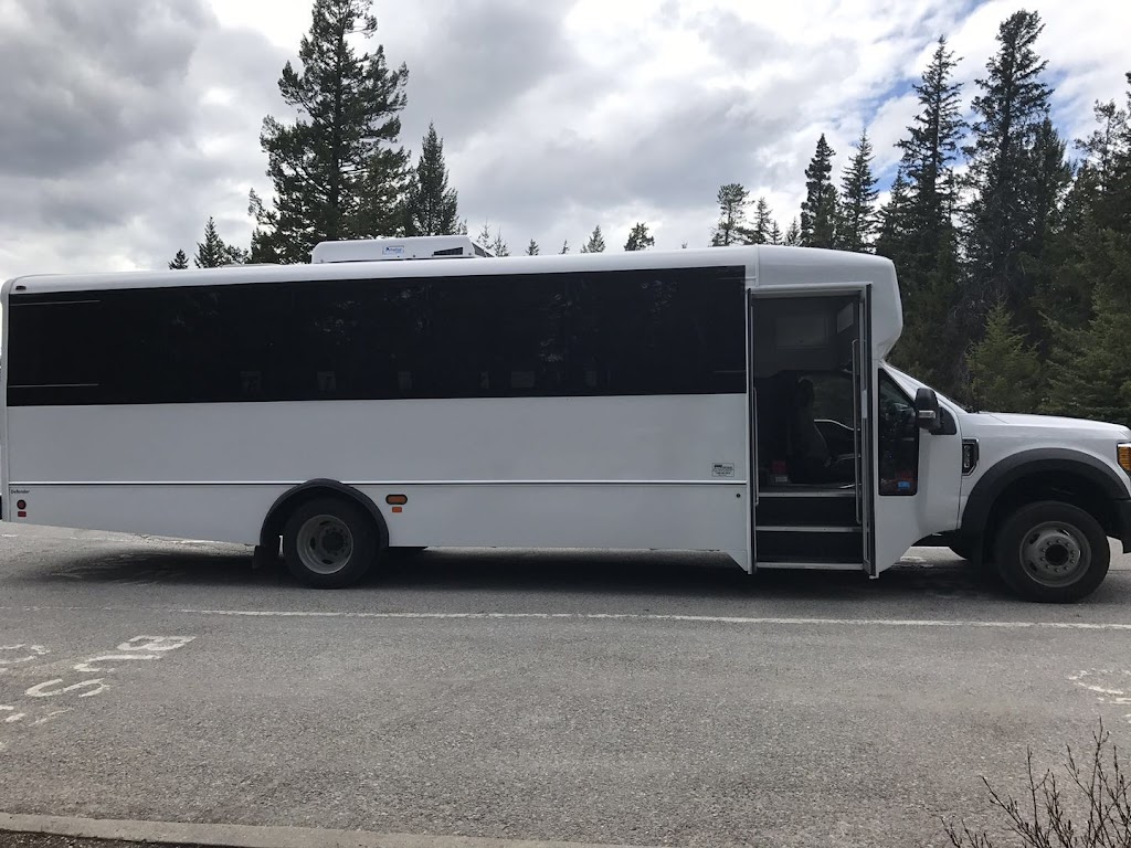 Vivo Green Calgary Shuttle | 39 Pantego Close NW, Calgary, AB T3K 0K1, Canada | Phone: (587) 432-3696