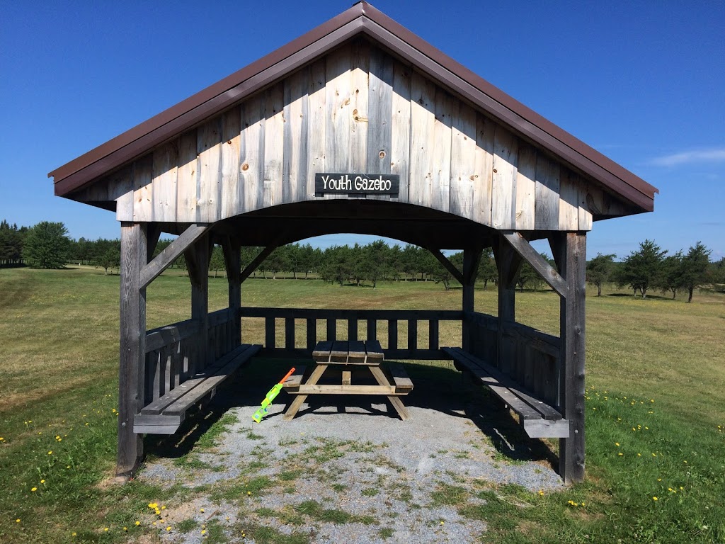 T N T Camp Grounds | 149 Boyd Loop Road, Coles Island, NB E4C 2W9, Canada | Phone: (506) 362-5372