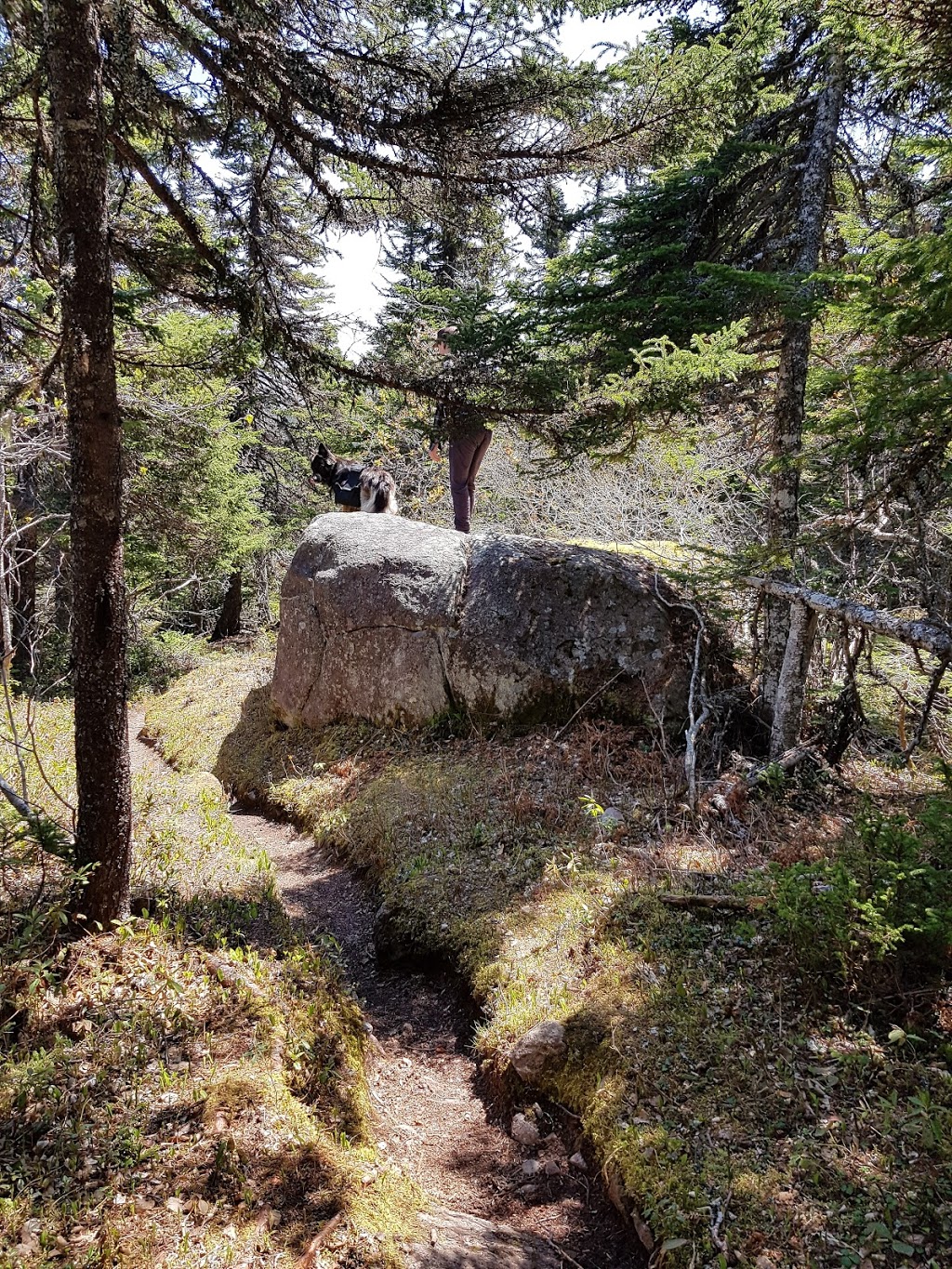 East Coast Trail Near Fort Amherst | Deadmans Bay Path, St. Johns, NL A1C 5H2, Canada